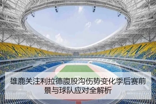 雄鹿关注利拉德腹股沟伤势变化季后赛前景与球队应对全解析 - kaiyun